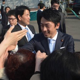 選挙応援に行けば人だかりができるが（Ｃ）日刊ゲンダイ