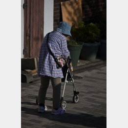 写真はイメージ（Ｃ）日刊ゲンダイ