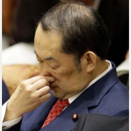 金田法相もビックリか（Ｃ）日刊ゲンダイ