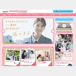 「ヤクルトレディのお仕事情報!!」（株式会社ヤクルトホームページ）