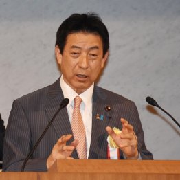 塩崎厚労相（Ｃ）日刊ゲンダイ