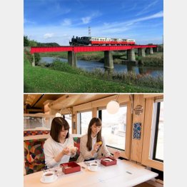 ５位の富士山ビュー特急（下＝富士急行提供）と４位の里山トロッコ（小湊鉄道提供）