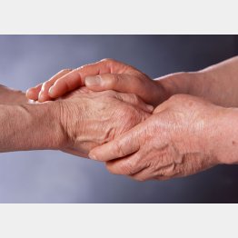 触れるとオキシトシンが出る（提供写真）