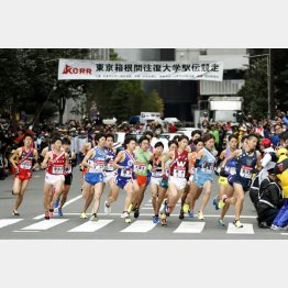 正月の箱根駅伝で一斉にスタートする選手ら（Ｃ）共同通信社