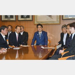 自民党は「教育無償化」なんてやれない（Ｃ）日刊ゲンダイ