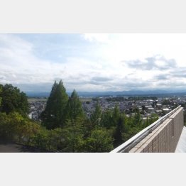 狭山丘陵の西側、圧倒的に緑が多い（Ｃ）日刊ゲンダイ
