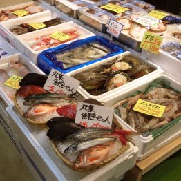 魚河岸（Ｃ）日刊ゲンダイ
