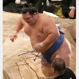 琴奨菊（Ｃ）日刊ゲンダイ