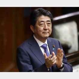 やりたい放題（Ｃ）日刊ゲンダイ