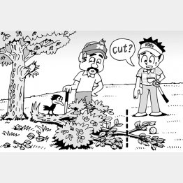 イラスト・小山混