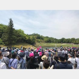 藍ちゃん効果で盛り上がった今年の中京テレビBSレディス（提供写真）