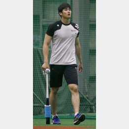 大谷だからといって…（Ｃ）日刊ゲンダイ