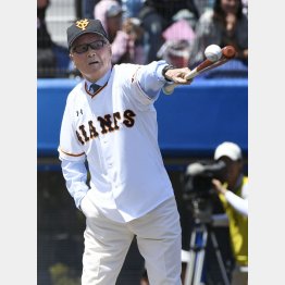 御年８１歳（Ｃ）共同通信社