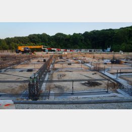 加計学園獣医学部の工事現場（Ｃ）日刊ゲンダイ