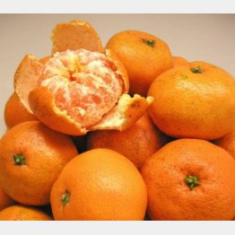 けっこう手間がかかっていた（Ｃ）日刊ゲンダイ