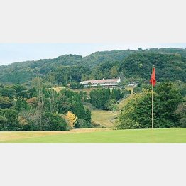 エンゼルカントリークラブ