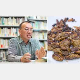 立教大学文学部の野中健一教授（右は昆虫食）／（Ｃ）日刊ゲンダイ