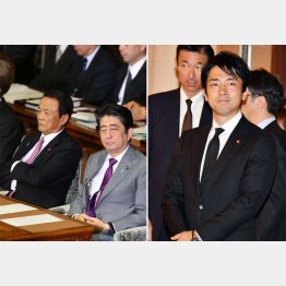 小泉進次郎（右）と安倍首相／（Ｃ）日刊ゲンダイ
