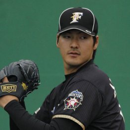 ポテンシャルは高い（Ｃ）日刊ゲンダイ