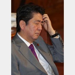 安倍首相は焦りが如実に（Ｃ）日刊ゲンダイ