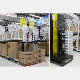 家電量販店の扇風機売場（右はパナソニックの高級機種）／（Ｃ）日刊ゲンダイ