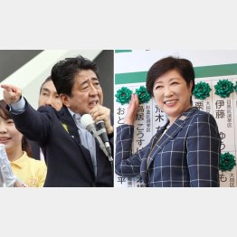 自民ワースト（左）と都民ファースト（Ｃ）日刊ゲンダイ