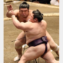 栃煌山（Ｃ）日刊ゲンダイ