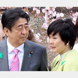 疑惑の中心にいる安倍首相夫妻（Ｃ）日刊ゲンダイ