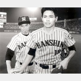 野田は阪神で2年続けて負け越していたが...（後方は中村監督）／（Ｃ）日刊ゲンダイ