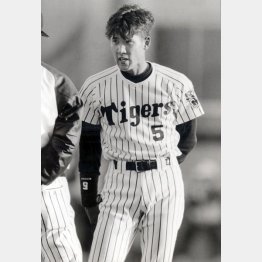 新庄の守備力はピカイチだった（Ｃ）日刊ゲンダイ