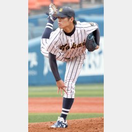 昨年、完全試合を達成した東海大の青島凌也投手（Ｃ）日刊ゲンダイ