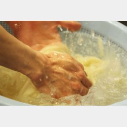 名古屋に出張の際はご賞味あれ（Ｃ）日刊ゲンダイ