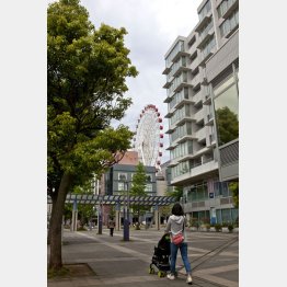 写真はイメージ（Ｃ）日刊ゲンダイ