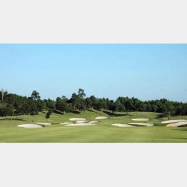 ザ・インペリアルＣＣ