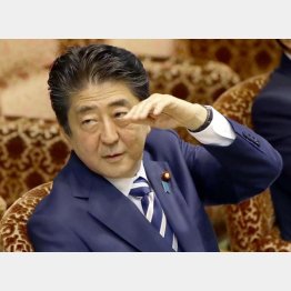 もはや落ちる一方（Ｃ）日刊ゲンダイ