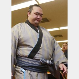 稀勢の里のジレンマもこれで解決（Ｃ）日刊ゲンダイ