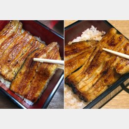 共水うなぎ（左）とうなぎ坂東太郎（右）／（Ｃ）提供写真