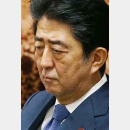 申請段階から知っていたことを認めていた（Ｃ）日刊ゲンダイ