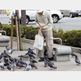 “ひとり暮らし世帯”の増加は必至（Ｃ）日刊ゲンダイ