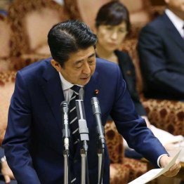 鳴りを潜めた「だから民進党は！」／（Ｃ）日刊ゲンダイ