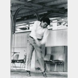 （撮影・田丸昇）