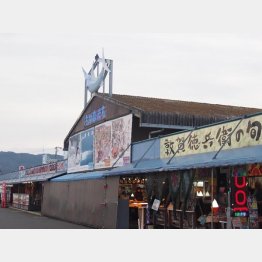 福井県敦賀市の「日本海さかな街」／（Ｃ）日刊ゲンダイ