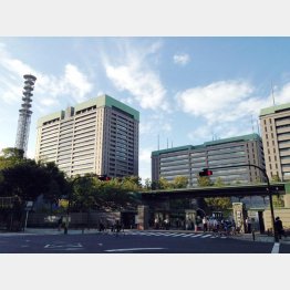 防衛省は訓練を公表していない（Ｃ）日刊ゲンダイ