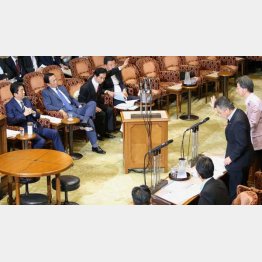 ７月２５日の参院予算委で安倍首相に質問する桜井議員（Ｃ）日刊ゲンダイ