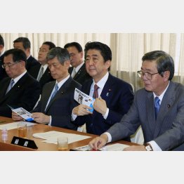 ３日の自民党臨時総会（Ｃ）日刊ゲンダイ