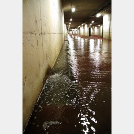 あふれ出したのは汚水かと思いきや…（写真は台風で流水が溜まりつつある地下道）／（Ｃ）日刊ゲンダイ