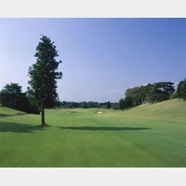 関東国際カントリークラブ（栃木）／（提供写真）