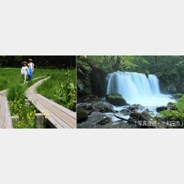 奥日光・戦場ケ原（左）と青森・銚子大滝（銚子大滝は十和田市提供）