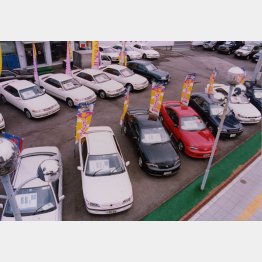 出処はハッキリさせてほしいところ（写真はイメージ）／（Ｃ）日刊ゲンダイ