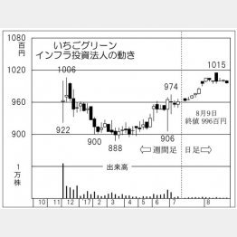 いちごグリーンインフラ投資法人（Ｃ）日刊ゲンダイ
